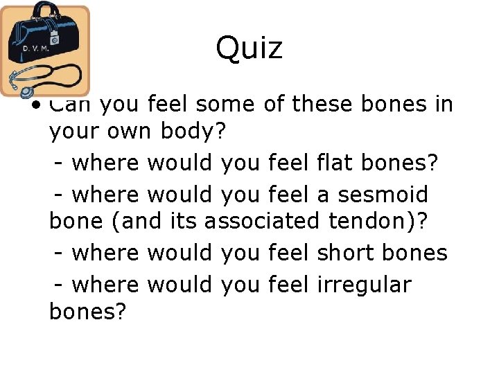 Quiz • Can you feel some of these bones in your own body? -