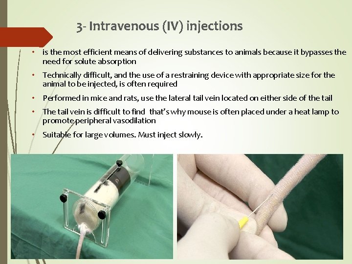 3 - Intravenous (IV) injections • is the most efficient means of delivering substances