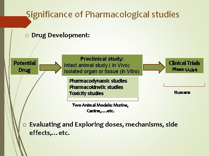 Significance of Pharmacological studies o Drug Development: Potential Drug Preclinical study: Intact animal study