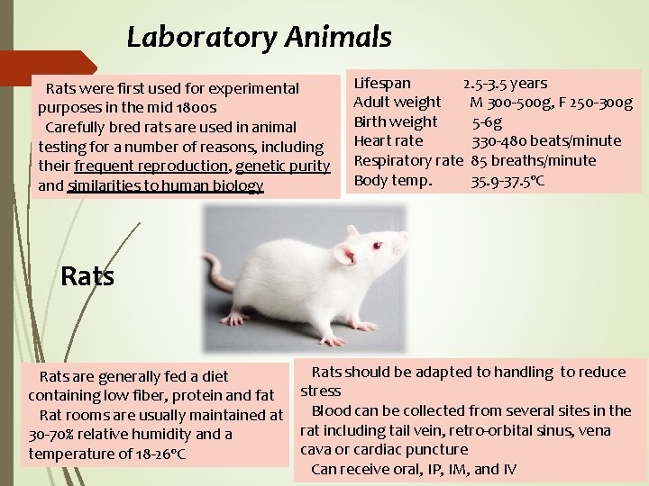 Laboratory Animals Rats were first used for experimental purposes in the mid 1800 s