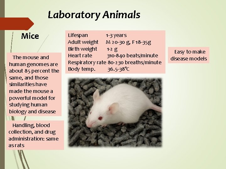 Laboratory Animals Mice The mouse and human genomes are about 85 percent the same,