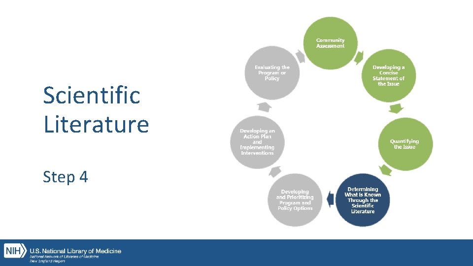 Scientific Literature Step 4 