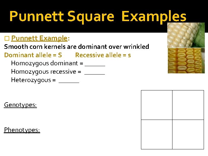 Squares Method used to calculate the probable