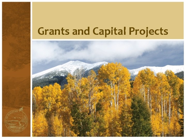 Grants and Capital Projects 