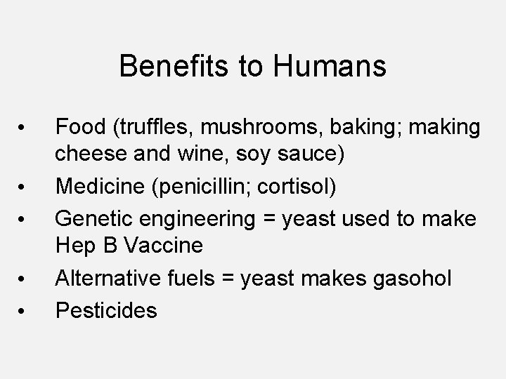 Benefits to Humans • • • Food (truffles, mushrooms, baking; making cheese and wine,