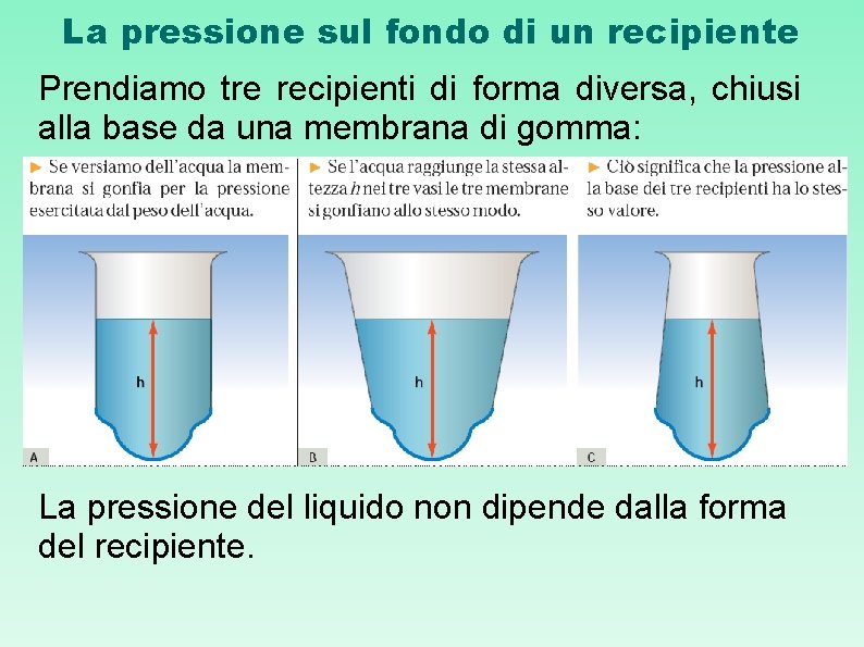 La pressione sul fondo di un recipiente Prendiamo tre recipienti di forma diversa, chiusi