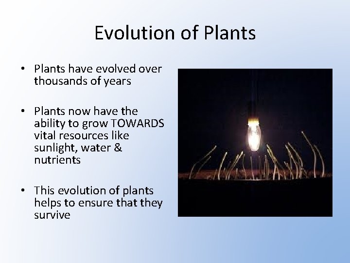 Evolution of Plants • Plants have evolved over thousands of years • Plants now