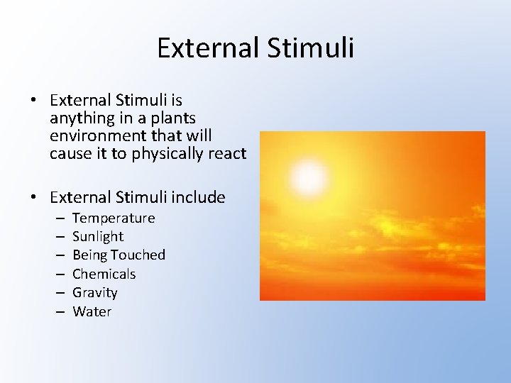 External Stimuli • External Stimuli is anything in a plants environment that will cause