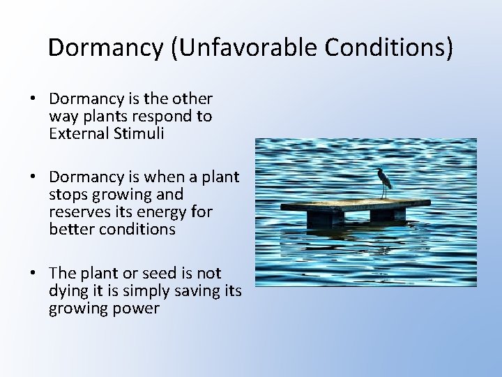 Dormancy (Unfavorable Conditions) • Dormancy is the other way plants respond to External Stimuli