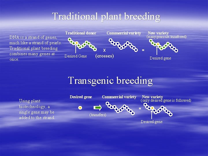 Traditional plant breeding Commercial variety Traditional donor DNA is a strand of genes, much