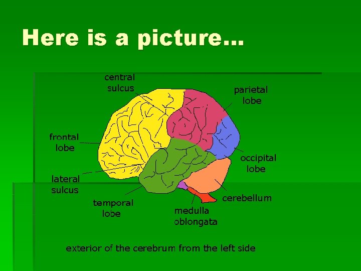 Here is a picture… 