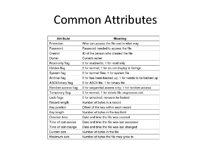 Common Attributes 