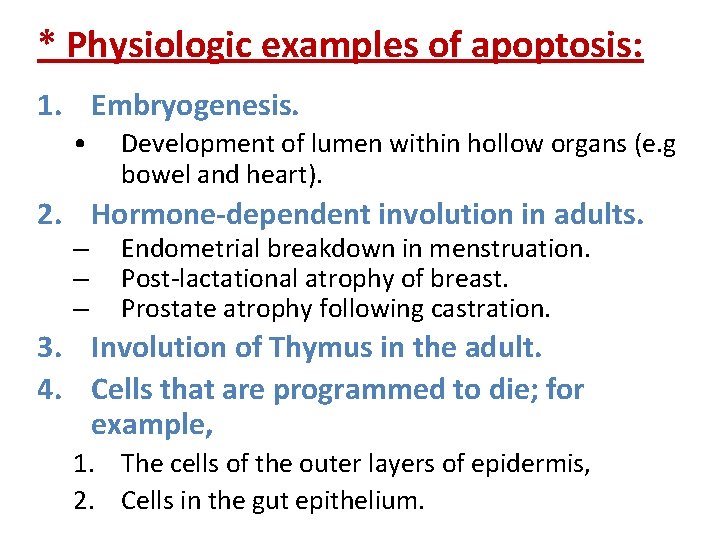 * Physiologic examples of apoptosis: 1. Embryogenesis. • Development of lumen within hollow organs