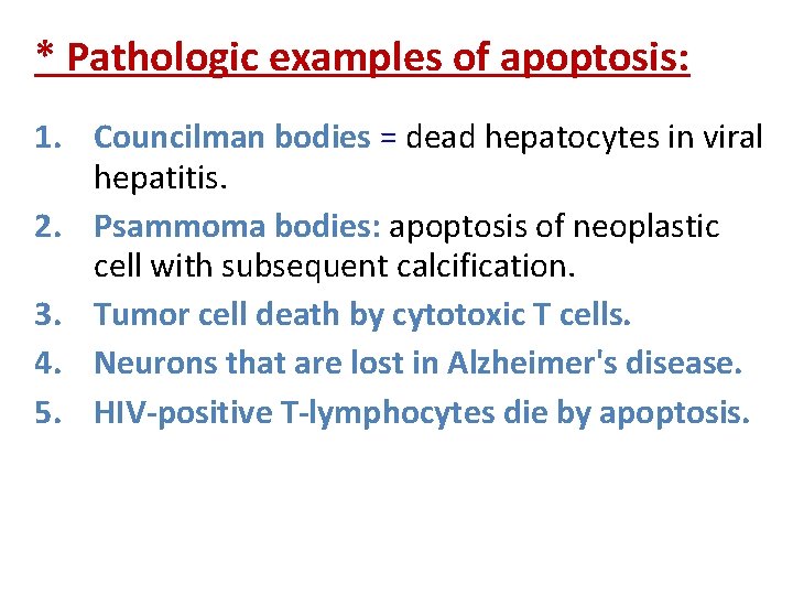 * Pathologic examples of apoptosis: 1. Councilman bodies = dead hepatocytes in viral hepatitis.