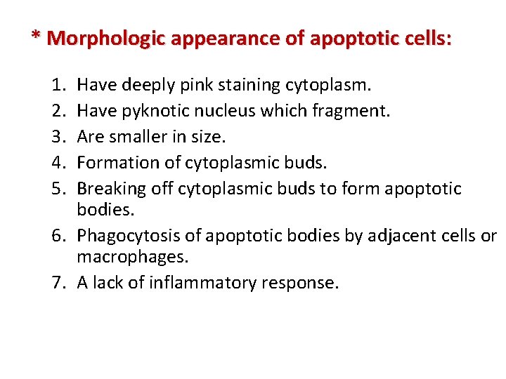 * Morphologic appearance of apoptotic cells: 1. 2. 3. 4. 5. Have deeply pink