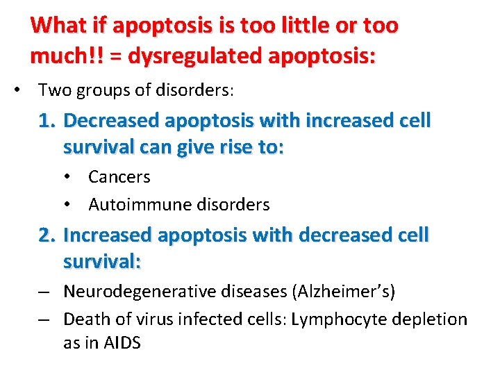What if apoptosis is too little or too much!! = dysregulated apoptosis: • Two