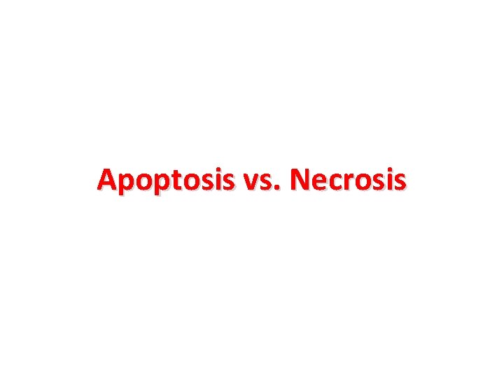 Apoptosis vs. Necrosis 