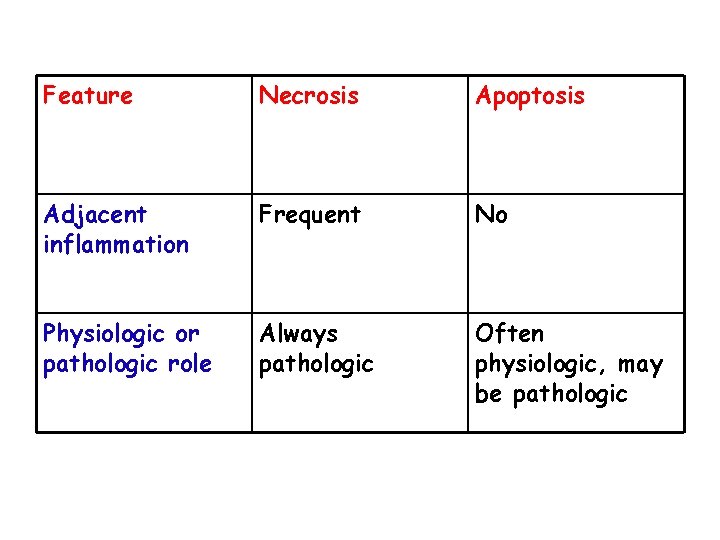 Feature Necrosis Apoptosis Adjacent inflammation Frequent No Physiologic or pathologic role Always pathologic Often