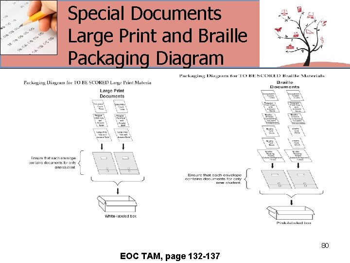 Special Documents Large Print and Braille Packaging Diagram 80 EOC TAM, page 132 -137