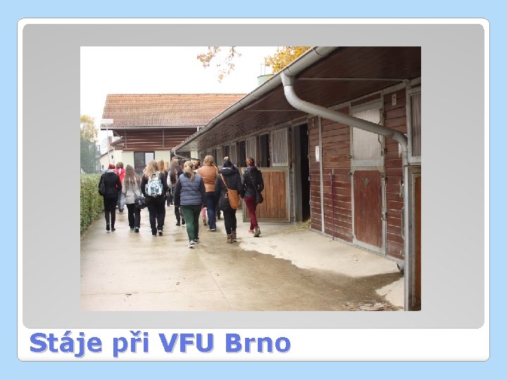 Stáje při VFU Brno 