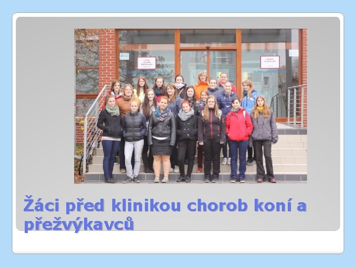 Žáci před klinikou chorob koní a přežvýkavců 