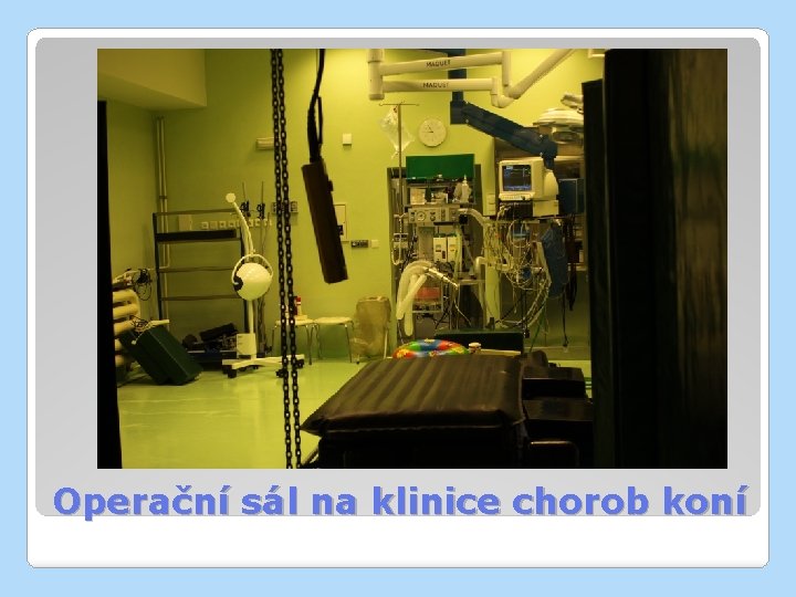 Operační sál na klinice chorob koní 