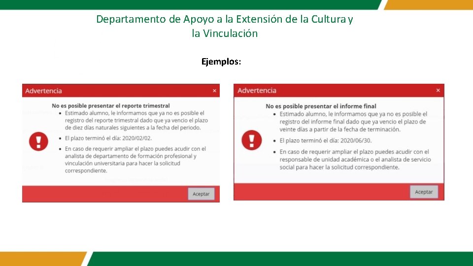 Departamento de Apoyo a la Extensión de la Cultura y la Vinculación Ejemplos: 
