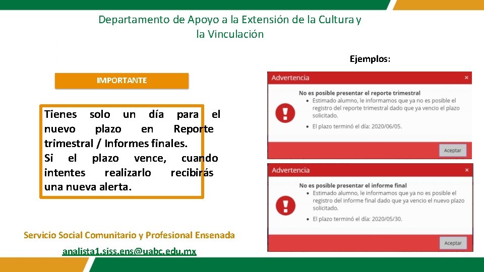 Departamento de Apoyo a la Extensión de la Cultura y la Vinculación Ejemplos: IMPORTANTE