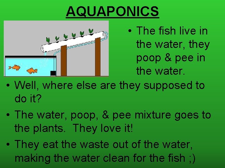 AQUAPONICS • The fish live in the water, they poop & pee in the