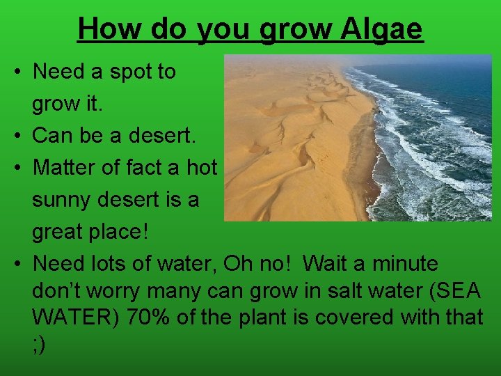 How do you grow Algae • Need a spot to grow it. • Can