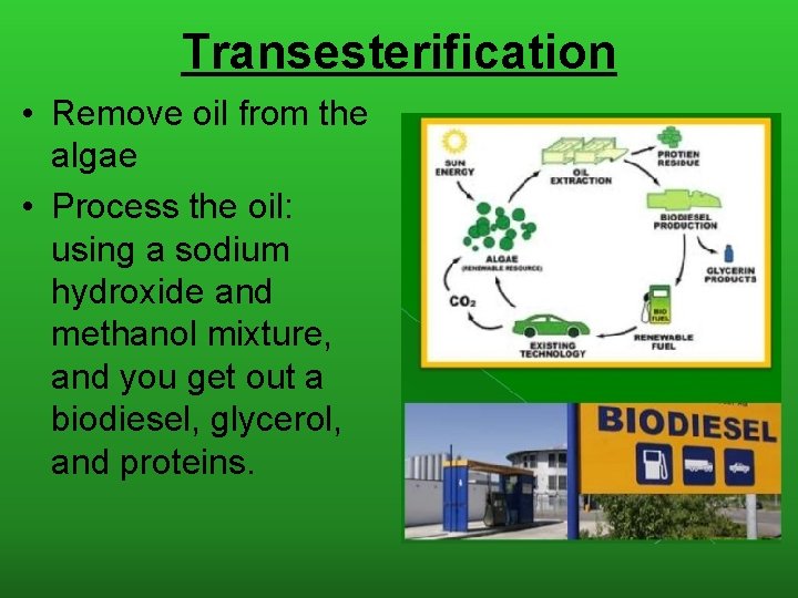 Transesterification • Remove oil from the algae • Process the oil: using a sodium