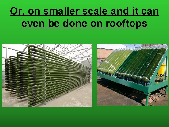 Or, on smaller scale and it can even be done on rooftops 