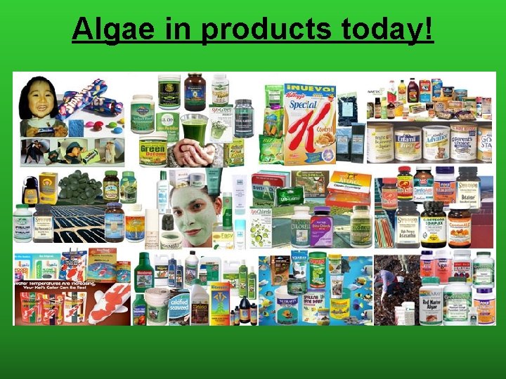 Algae in products today! 