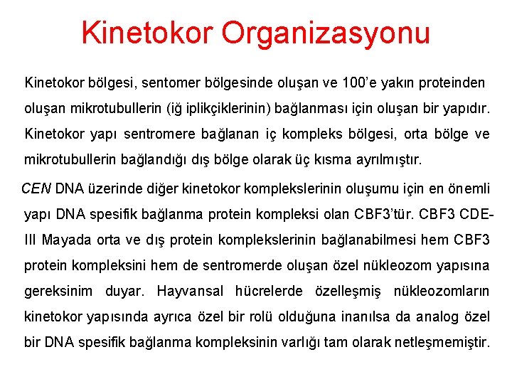 Kinetokor Organizasyonu Kinetokor bölgesi, sentomer bölgesinde oluşan ve 100’e yakın proteinden oluşan mikrotubullerin (iğ