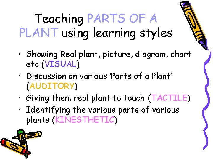 Teaching PARTS OF A PLANT using learning styles • Showing Real plant, picture, diagram,