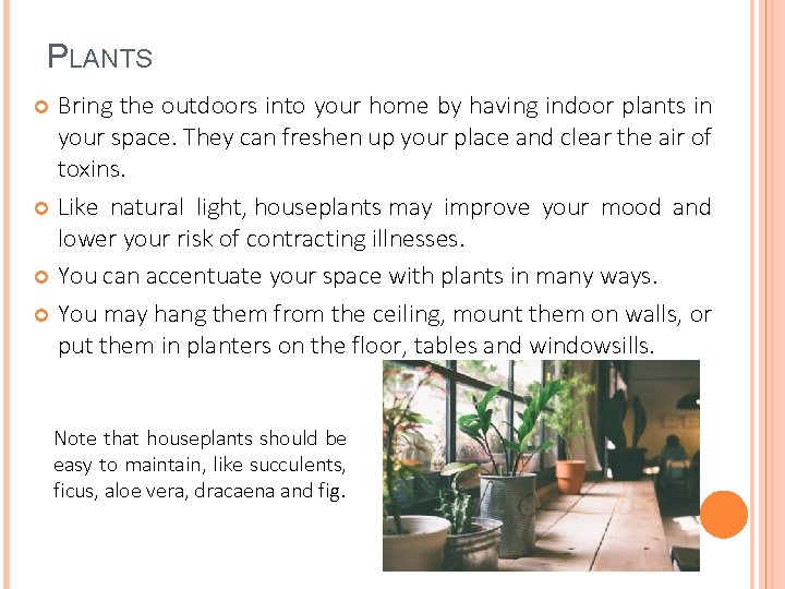 PLANTS Bring the outdoors into your home by having indoor plants in your space.