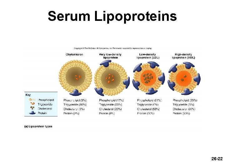 Serum Lipoproteins 26 -22 
