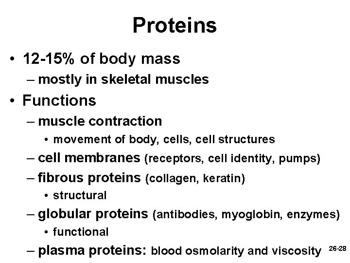 Proteins • 12 -15% of body mass – mostly in skeletal muscles • Functions