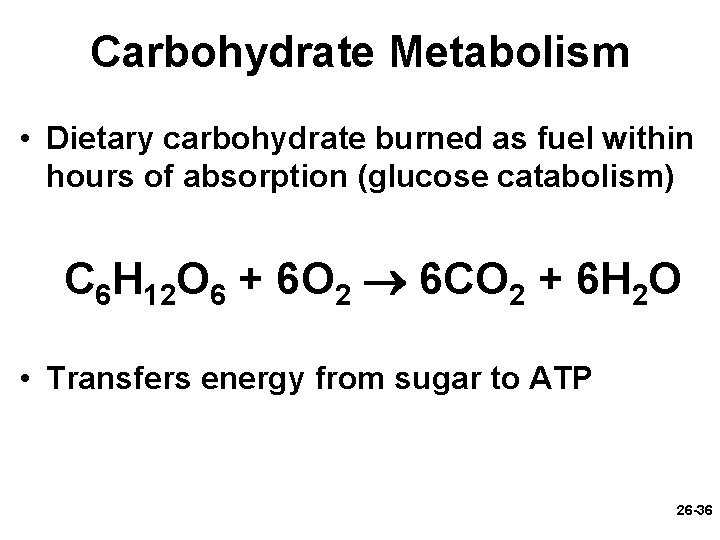 Carbohydrate Metabolism • Dietary carbohydrate burned as fuel within hours of absorption (glucose catabolism)