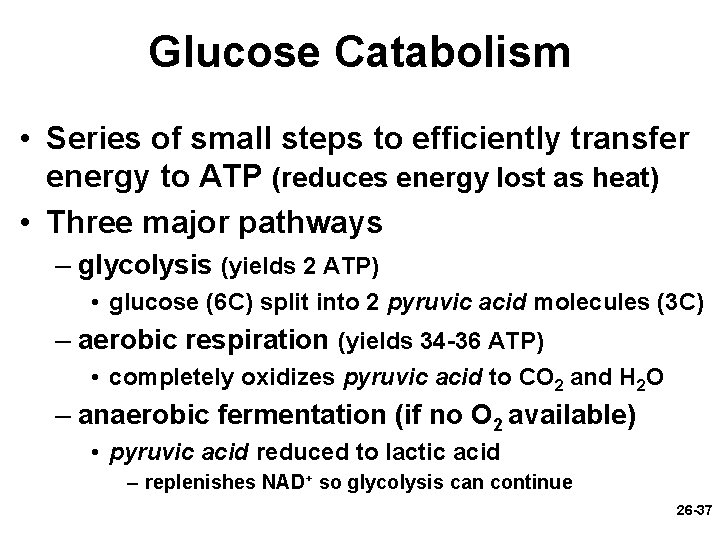 Glucose Catabolism • Series of small steps to efficiently transfer energy to ATP (reduces