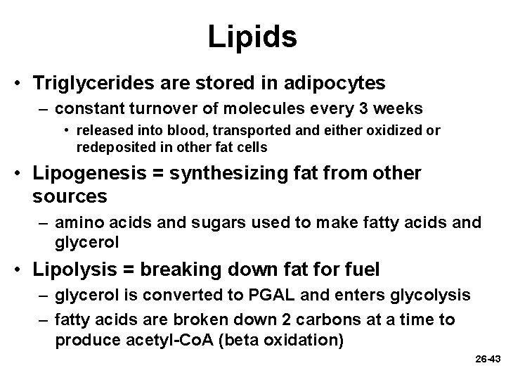 Lipids • Triglycerides are stored in adipocytes – constant turnover of molecules every 3