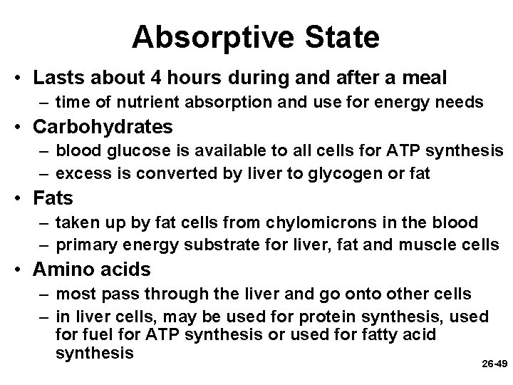Absorptive State • Lasts about 4 hours during and after a meal – time