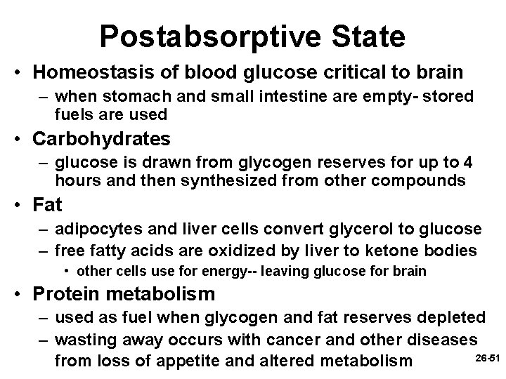 Postabsorptive State • Homeostasis of blood glucose critical to brain – when stomach and