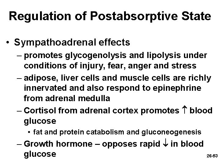 Regulation of Postabsorptive State • Sympathoadrenal effects – promotes glycogenolysis and lipolysis under conditions