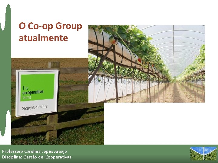 O Co-op Group atualmente Professora Carolina Lopes Araujo Disciplina: Gestão de Cooperativas 