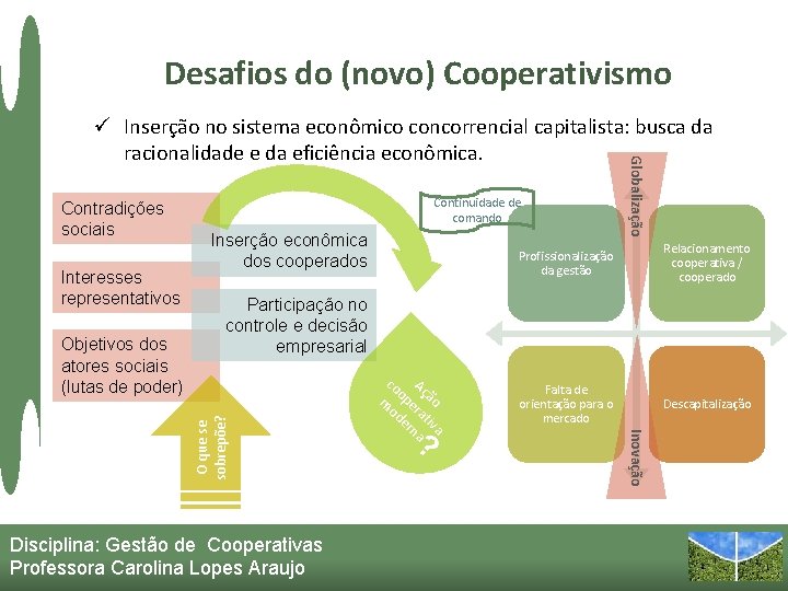 Desafios do (novo) Cooperativismo Contradições sociais Interesses representativos Inserção econômica dos cooperados Profissionalização da