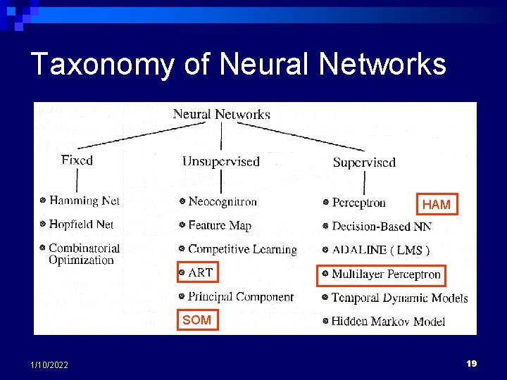 Taxonomy of Neural Networks HAM SOM 1/10/2022 19 