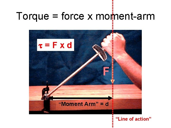 Torque = force x moment-arm t=Fxd F “Moment Arm” = d “Line of action”