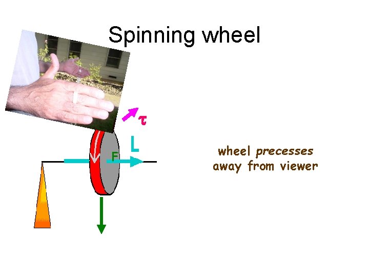 Spinning wheel t F wheel precesses away from viewer 
