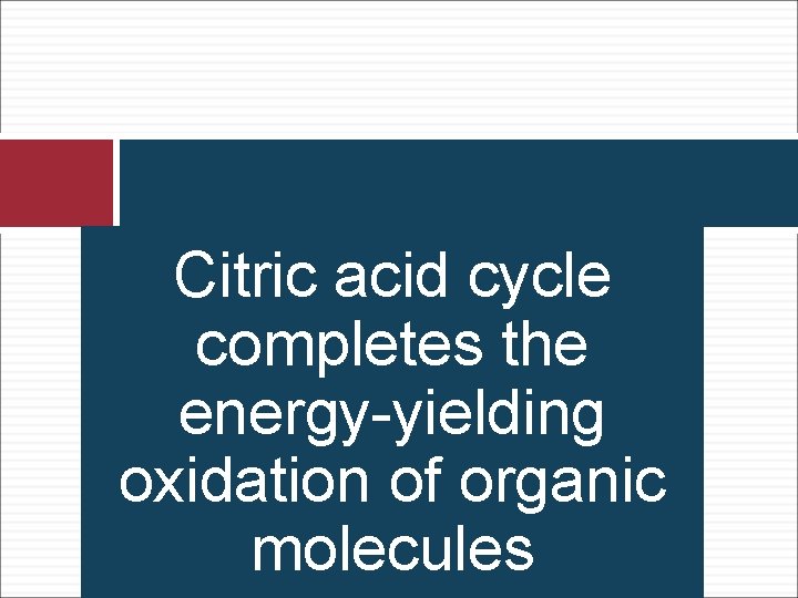 Citric acid cycle completes the energy-yielding oxidation of organic molecules 